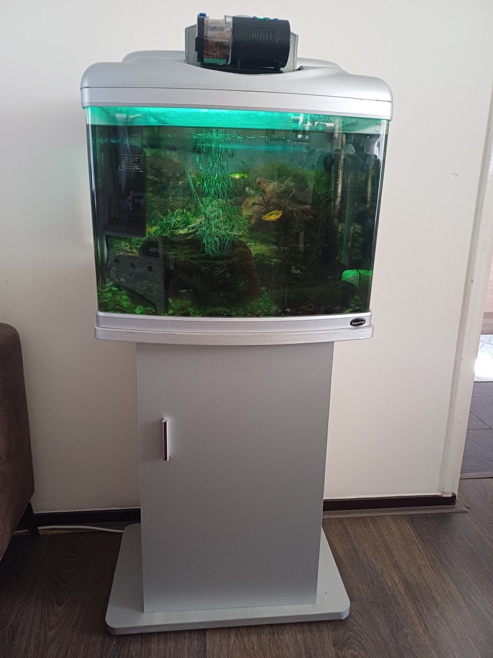 Aquarium met toebehoren