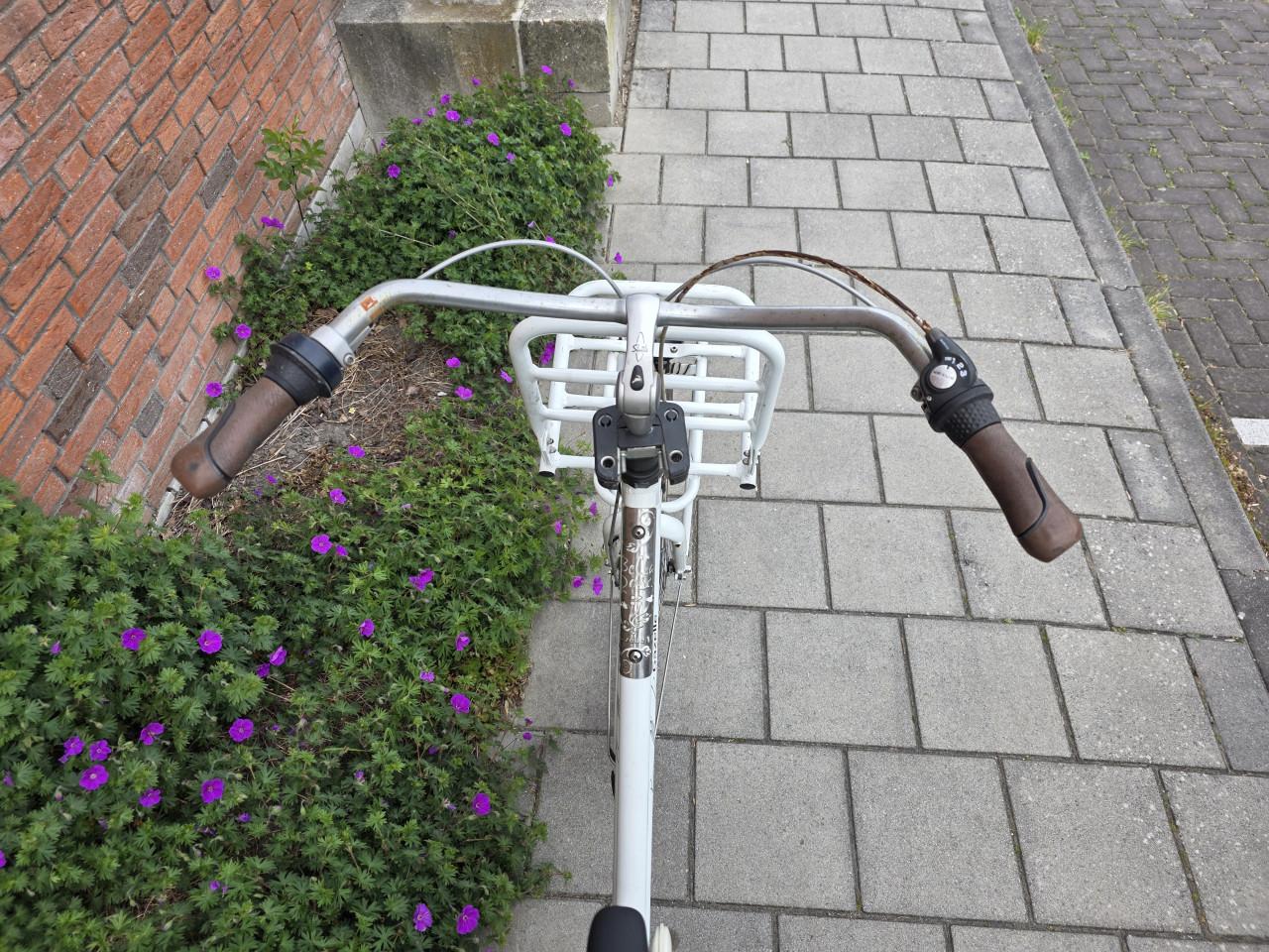 GAZELLE | BELLE ROSA 28 INCH | 56 CM | NEXUS 3