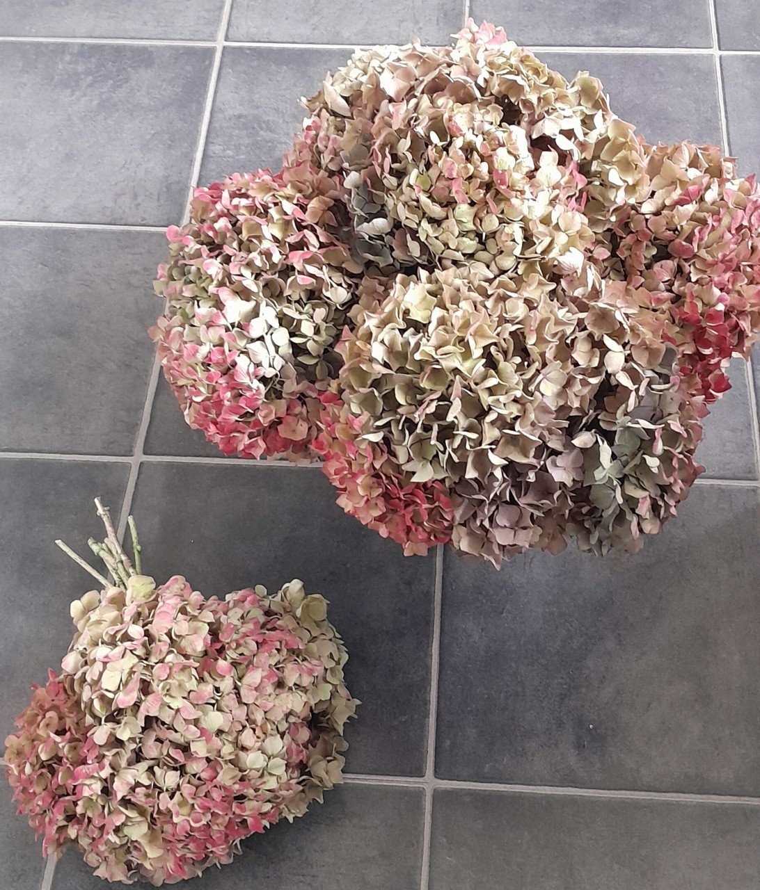 Bos Hortensia bloemen.
