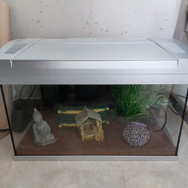 Aquarium