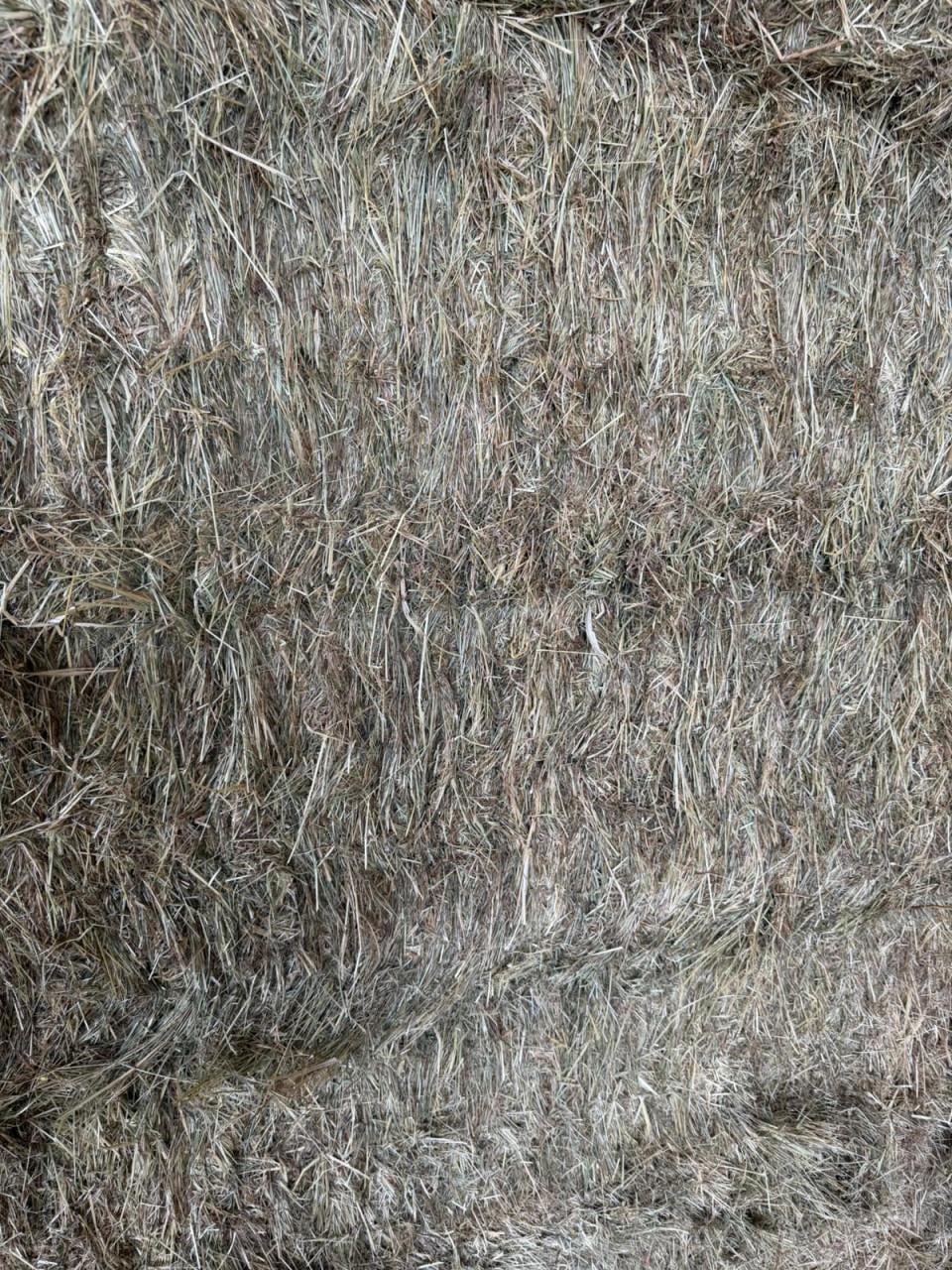 Kleine en grote pakken weidehooi