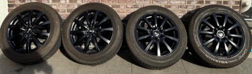 Velgen met winterbanden