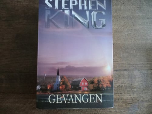 Gevangen van Stephen King.
