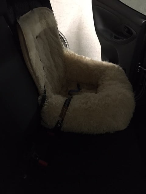 Hond autostoel