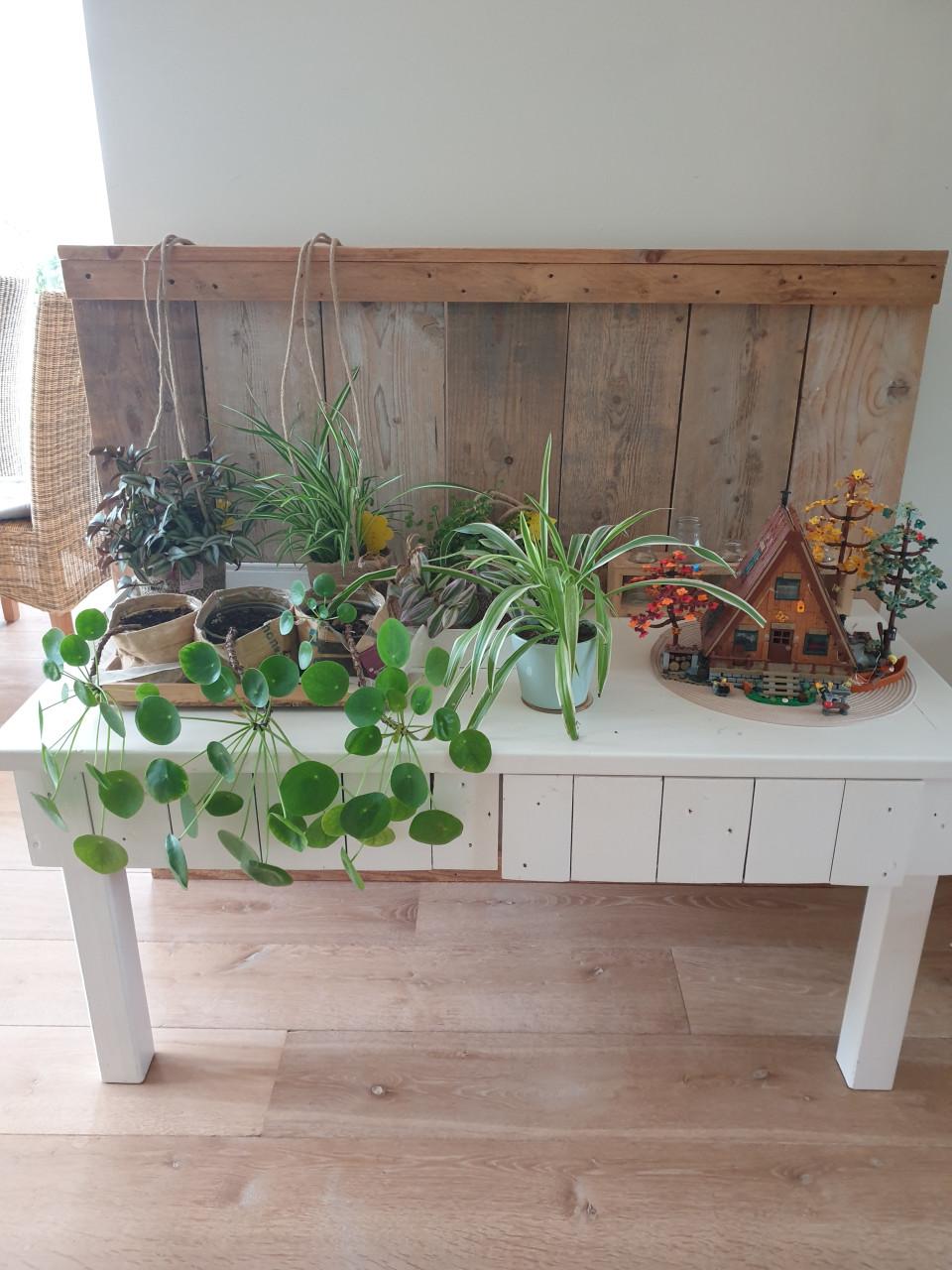 Lage sidetable gratis