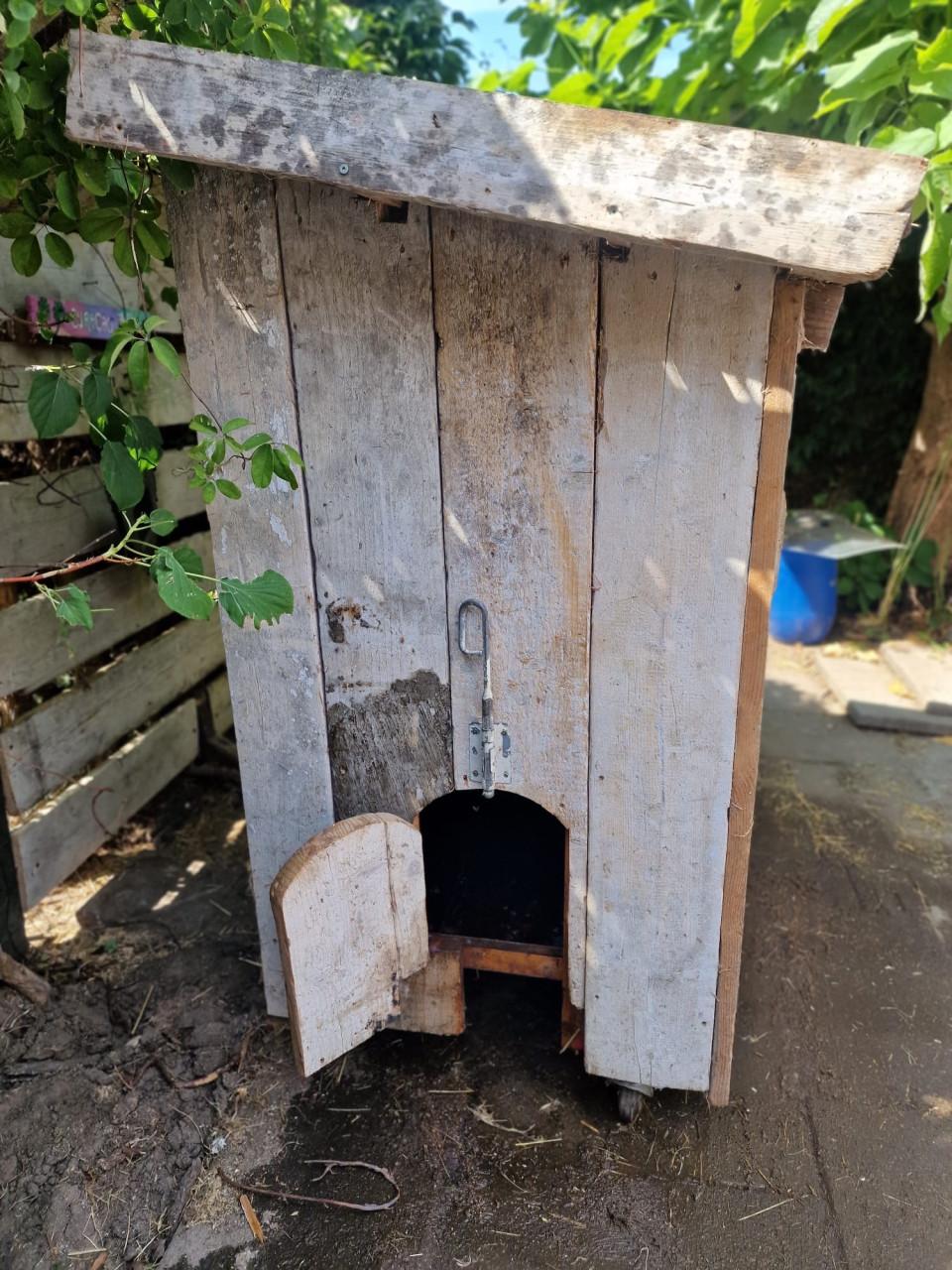 Kippen nachthok te koop