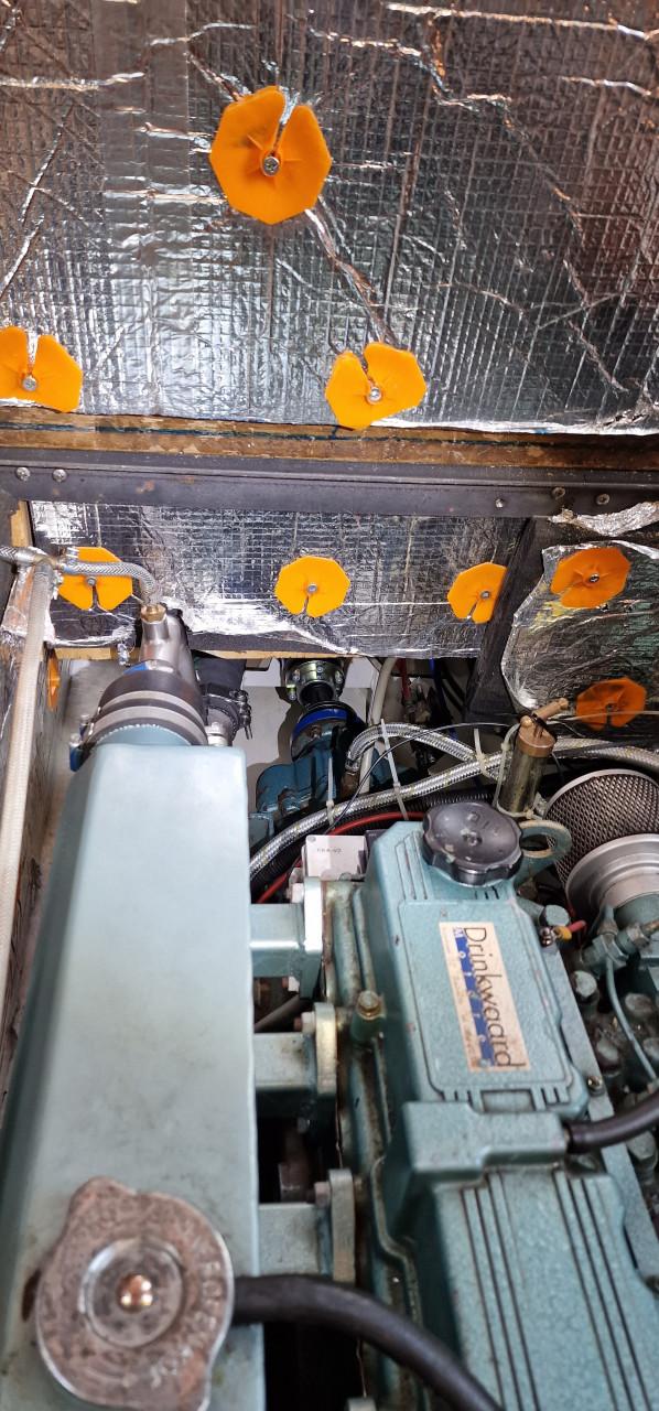 Motorboot 10 meter (Rijo kruiser)