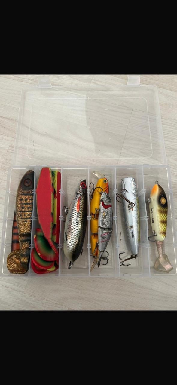 20 Grote Kunstaasjes te Koop - Diverse Soorten