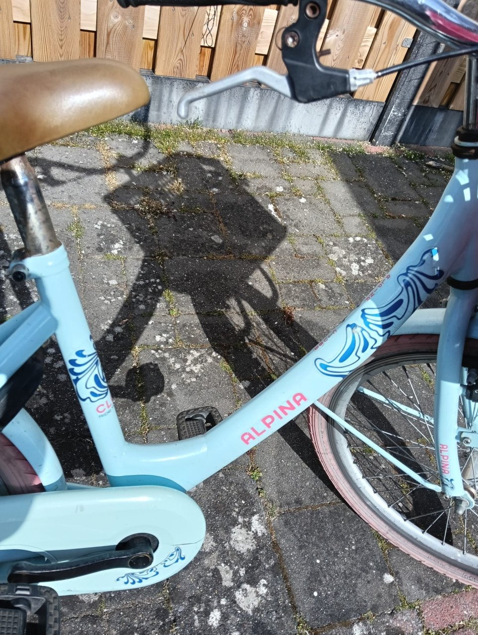Meisjesfiets Alpina 22 inch