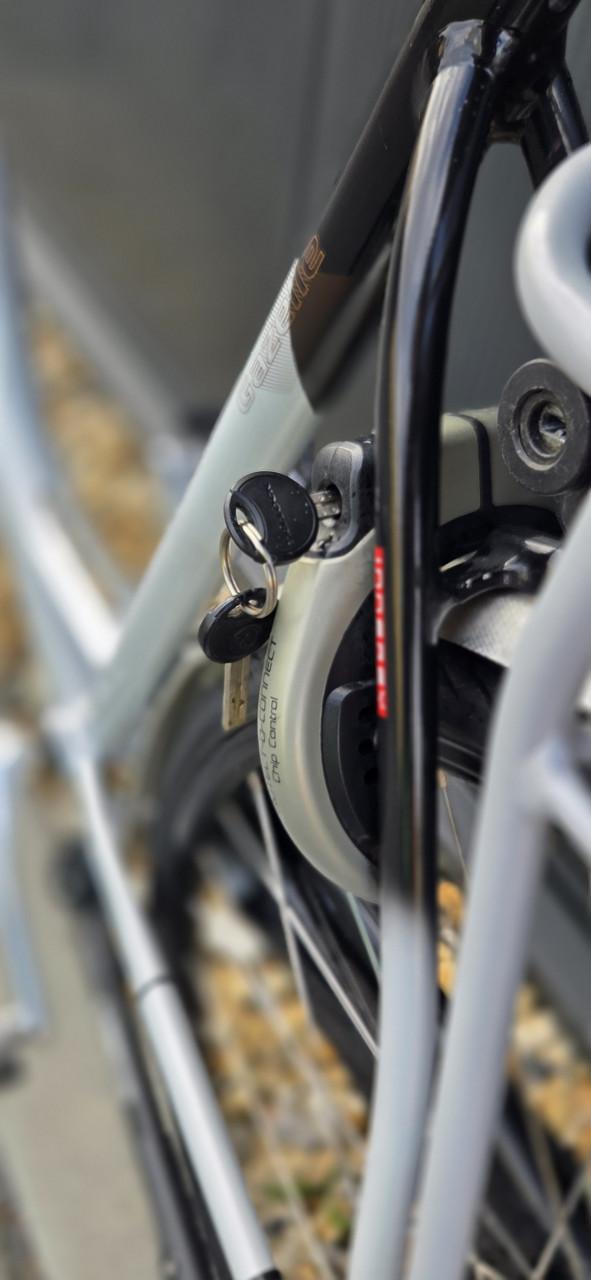 Gazelle Orange Excelent Innergy 57cm