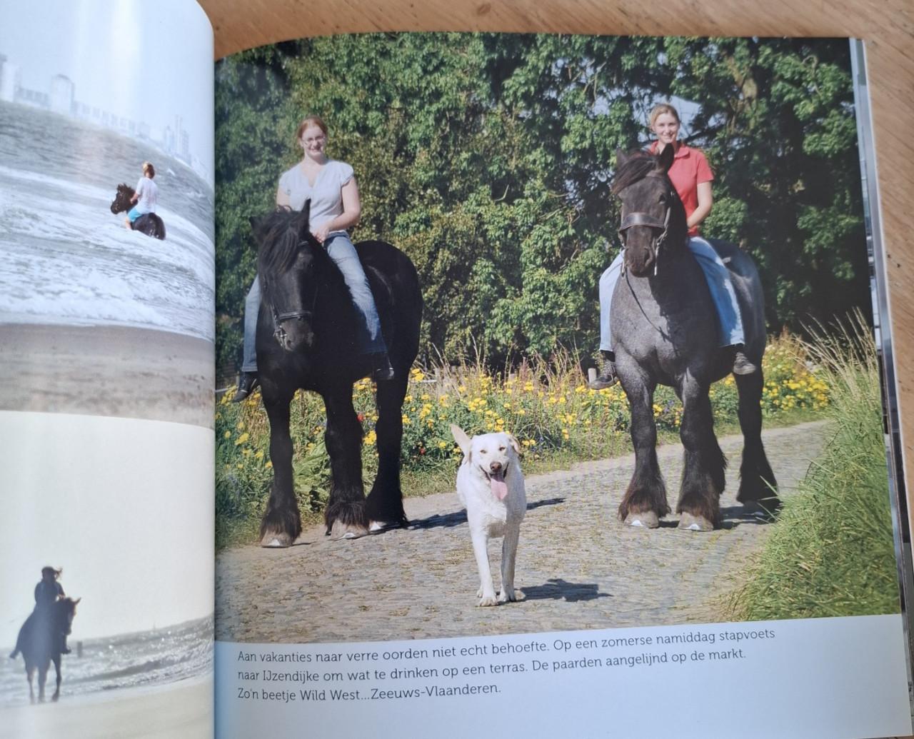 Zeeuws venster - Een mooie herinnering, door Chris Platteeuw.