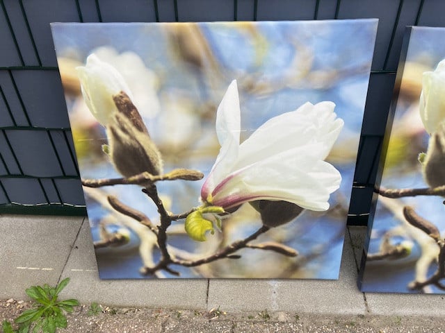 2 Fotolijsten op canvas