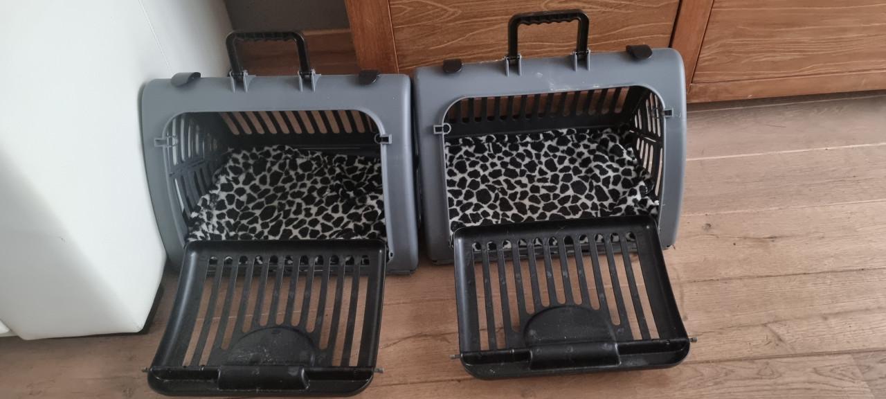 Deze twee broertjes zoeken een leuk nieuw onderkomen