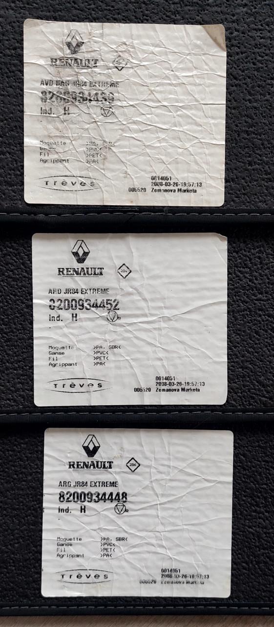 Renault Scenic automatten