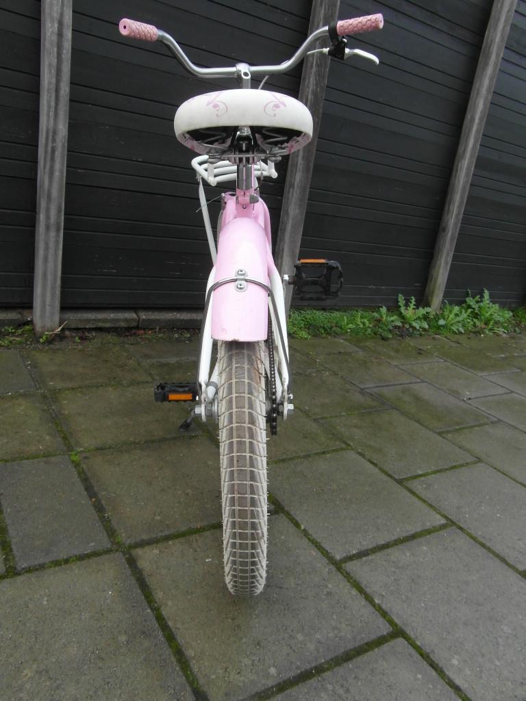 Mooie  2 cycle meisjesfiets ( 20 inch)