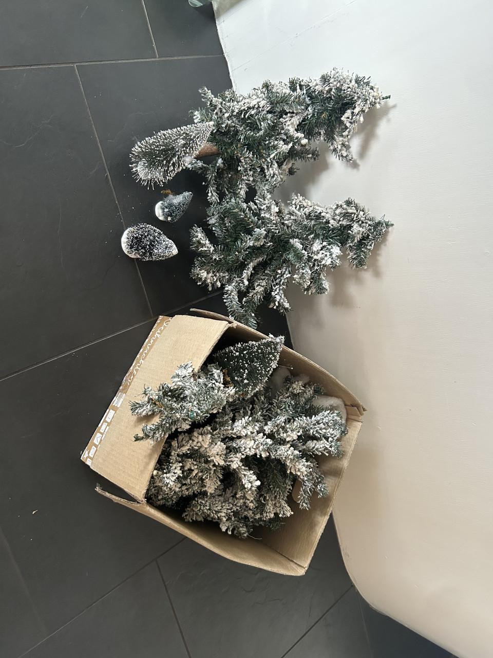 (Kerst) boompjes  doos vol