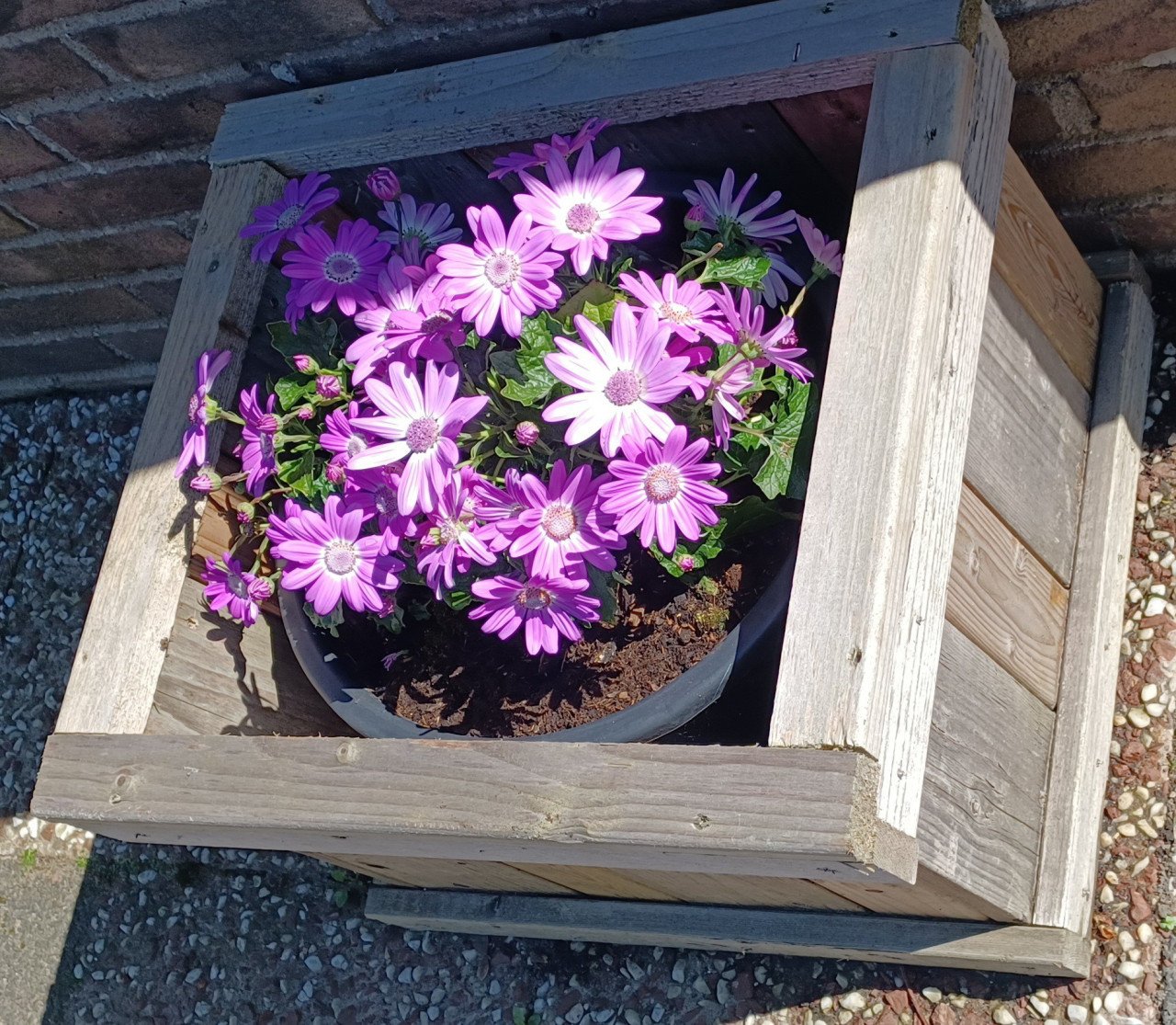 Bloem- / plant- / boompotten