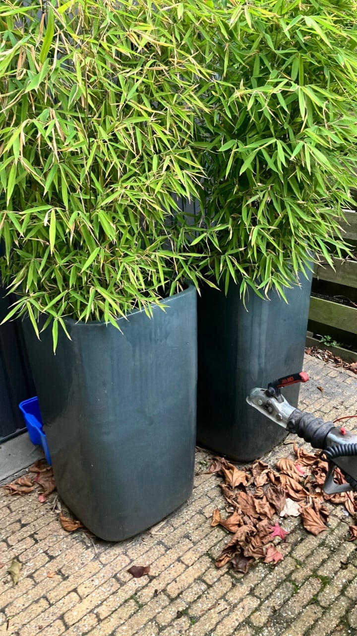 Planten zuil geglazuurd, twee stuks grijs