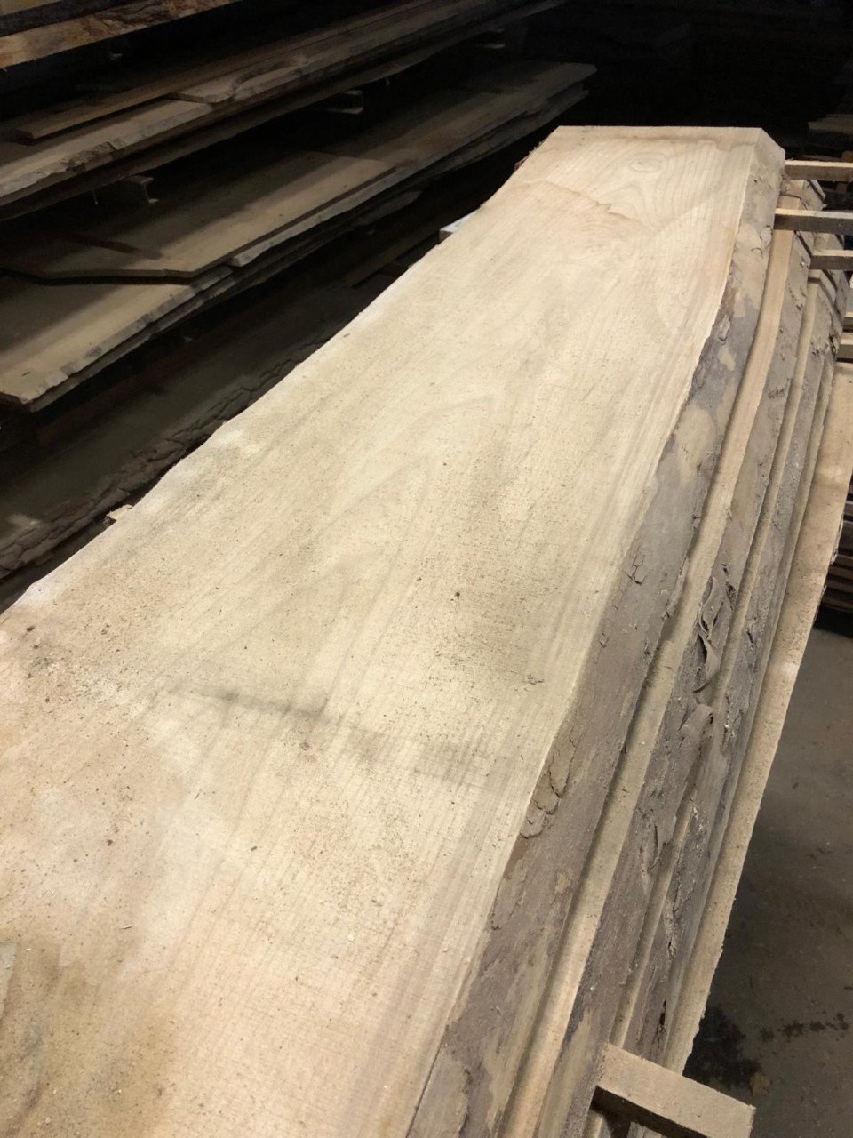 Zeeuwse Iep / Olm stam, hout voor meubels en interieur