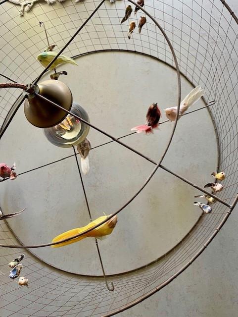 Hanglamp Demi-Grande Voliere Mathieu Challieres