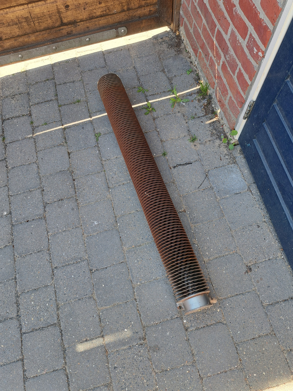 Ribbenbuis kachel