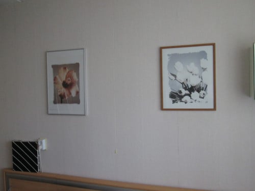 Set lijsten met bloemen