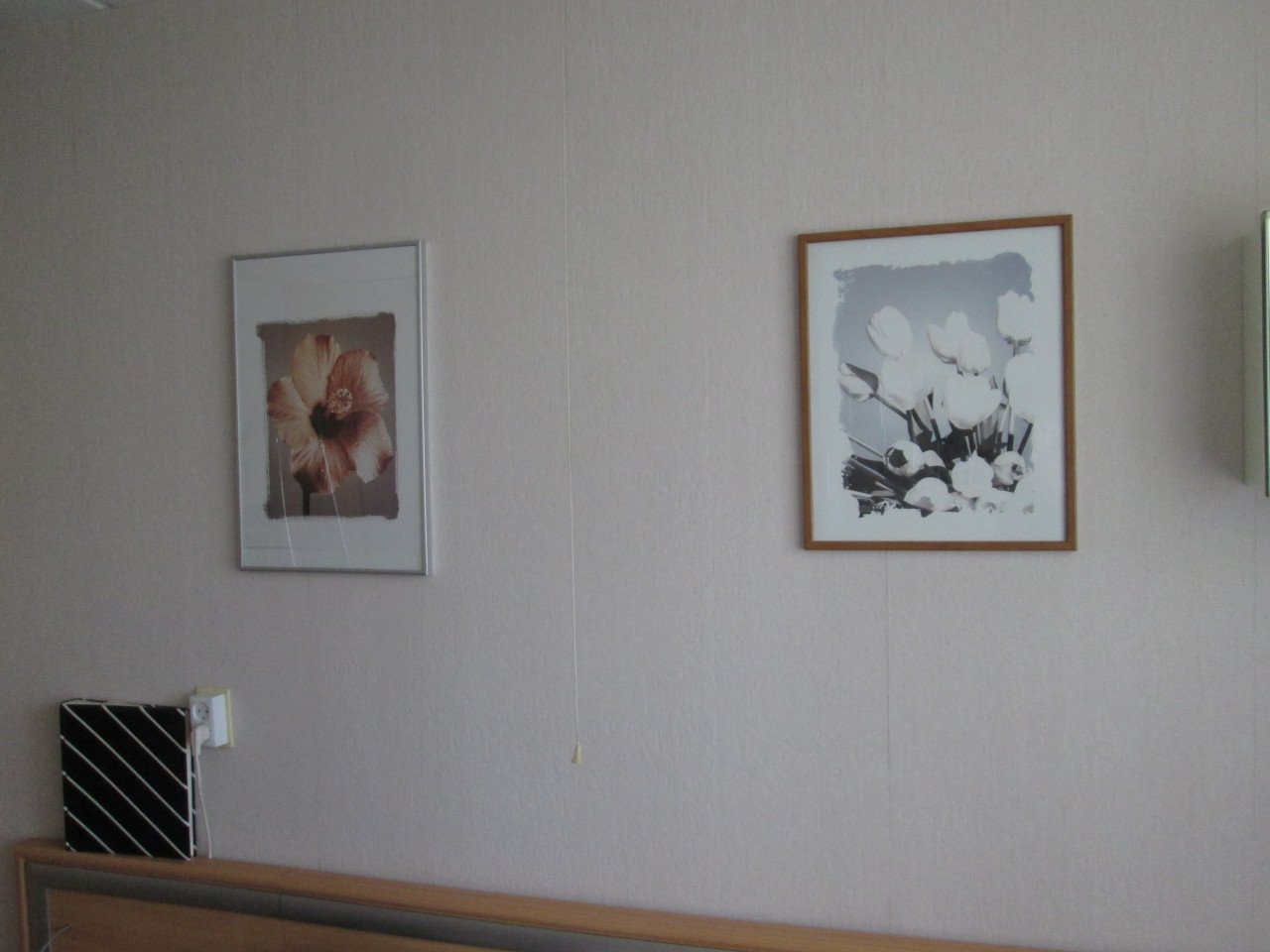 Set lijsten met bloemen