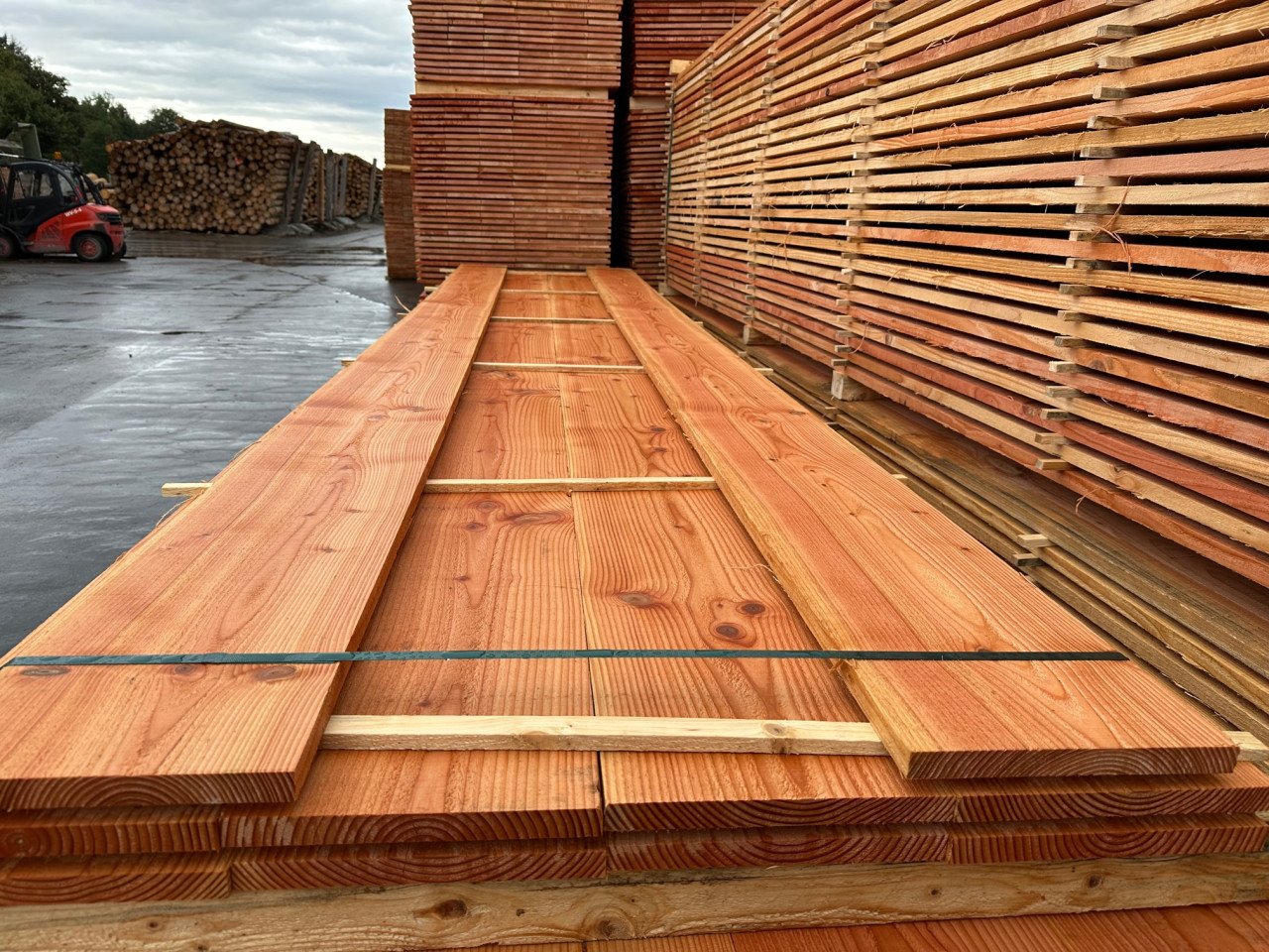 DOUGLAS HOUT NODIG Veel Voorraad.