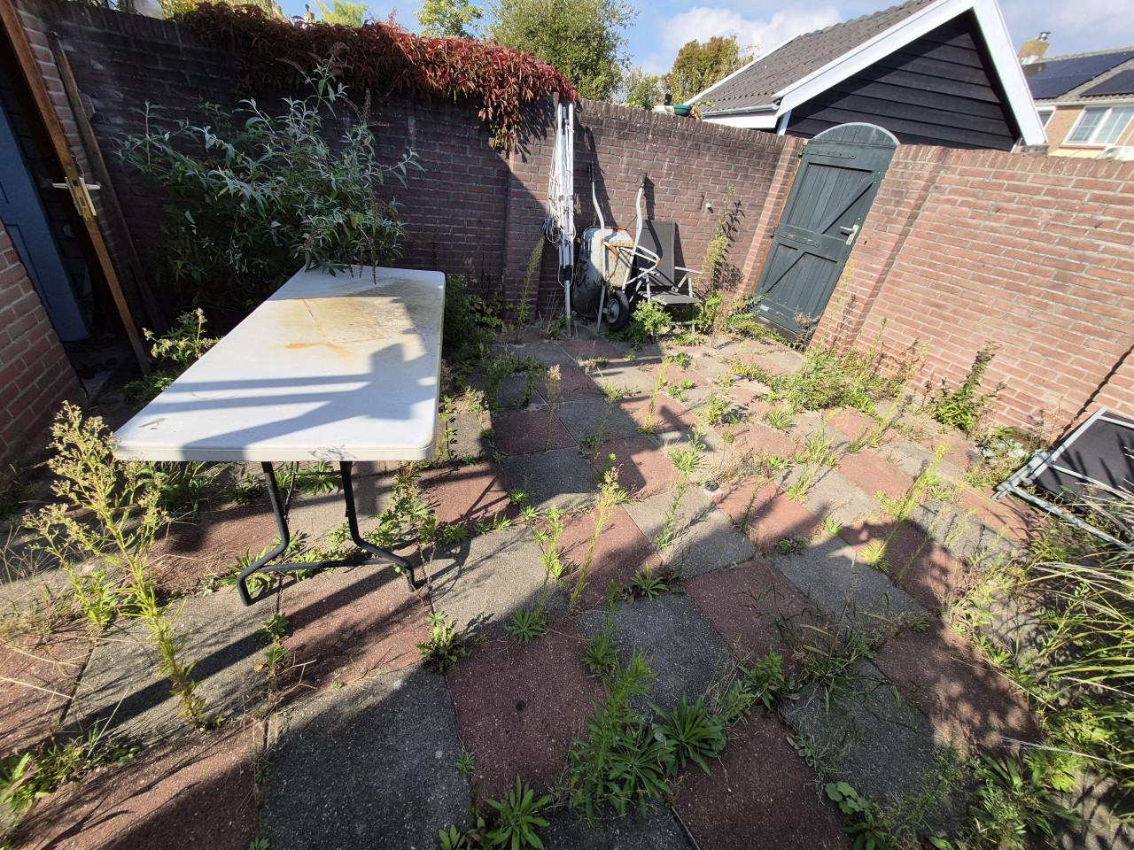 Betaalbare en Betrouwbare Tuinman nodig? Beschikbaar!!