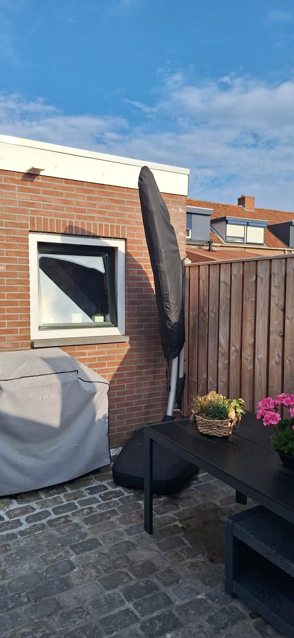 Parasol
