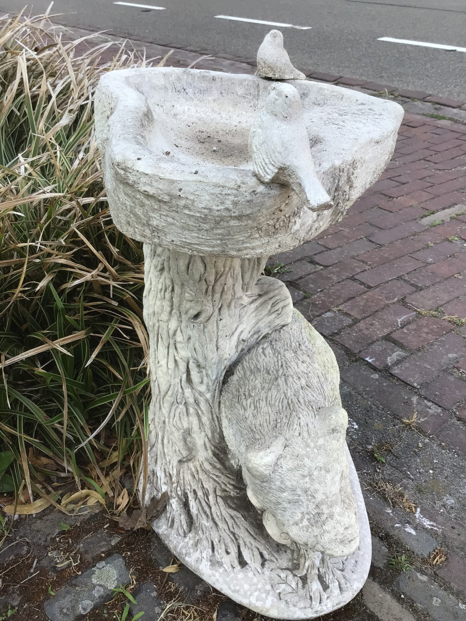 Betonnen vogeldrinkbak
