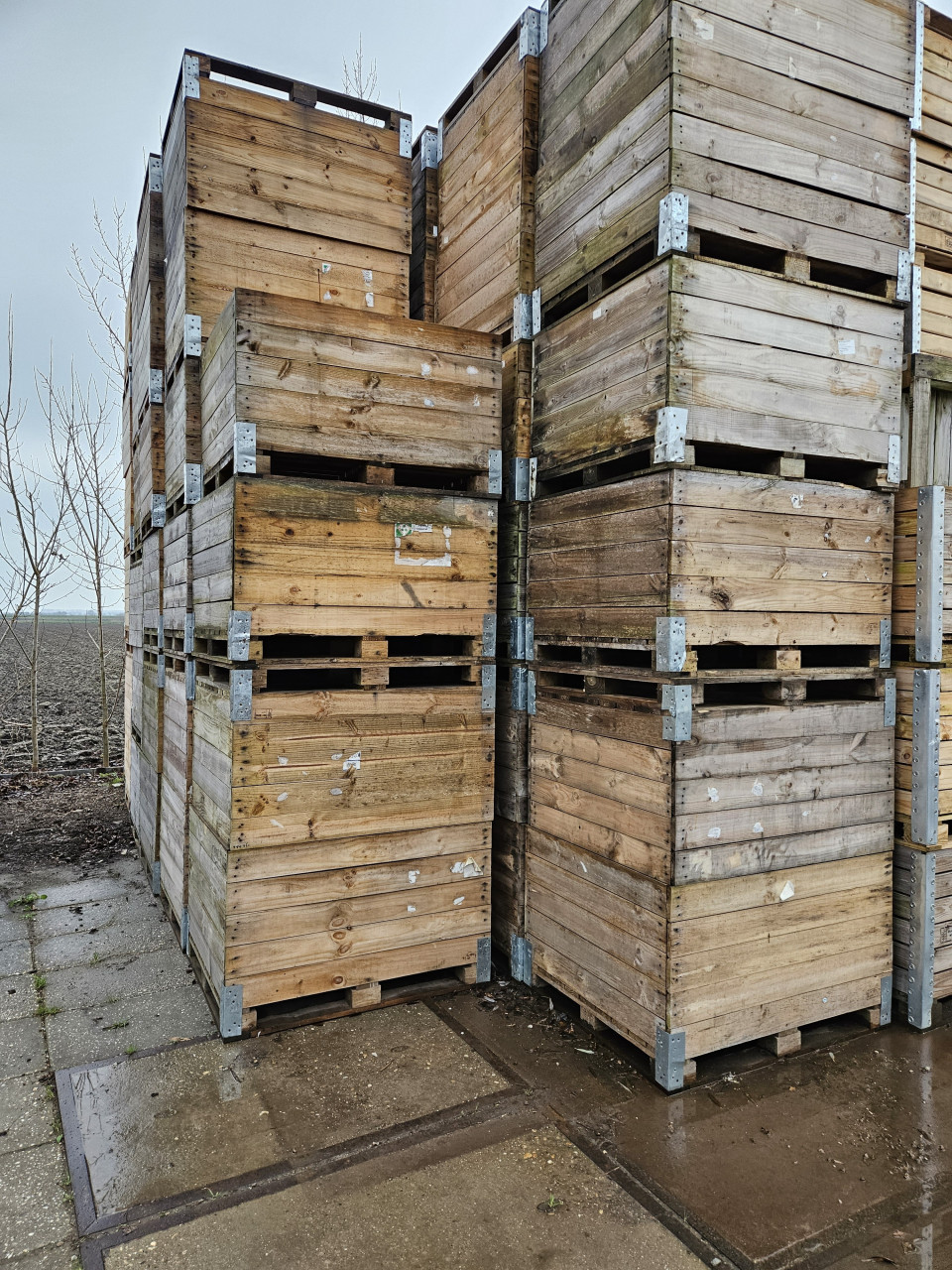 Fruitkisten. Voorraadbakken, Moestuinkratten, Houten kisten