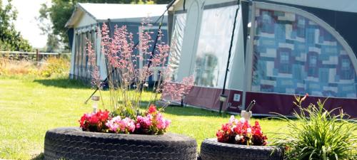 Enkele seizoensplaatsen beschikbaar op onze gezellige minicamping