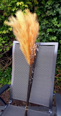 Decoratie veren en