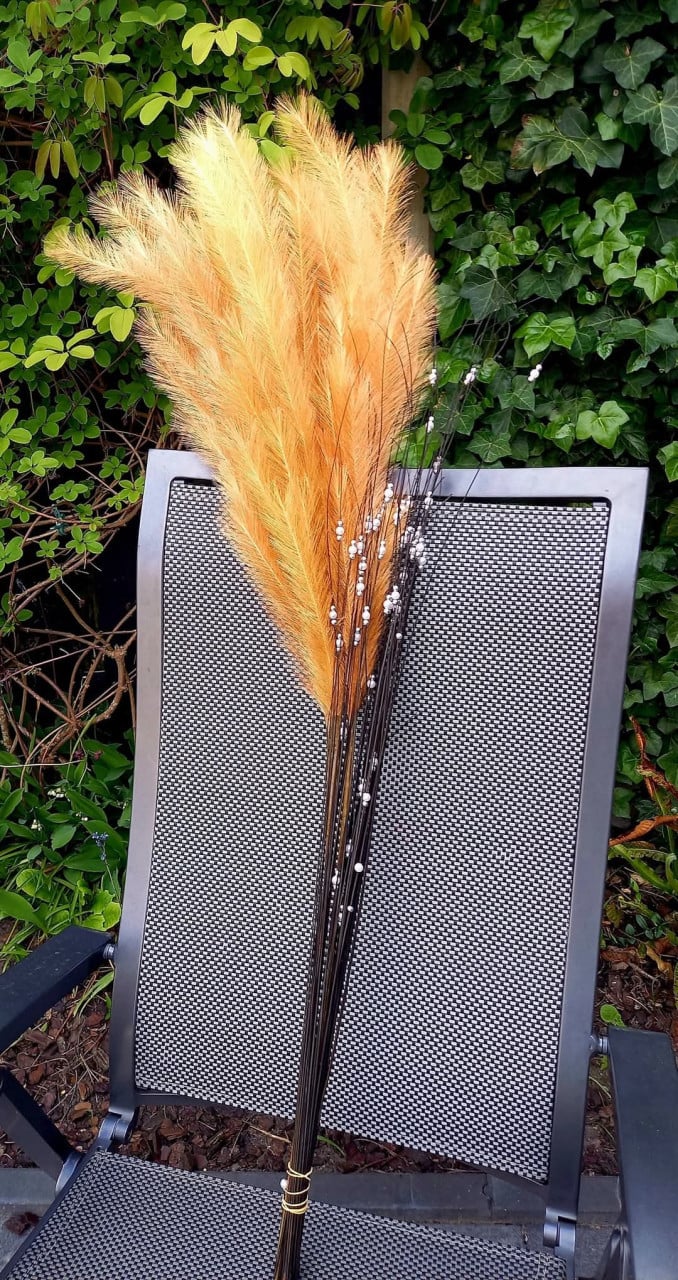 Decoratie veren en