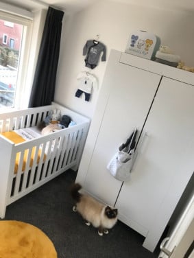 Baby kamer compleet