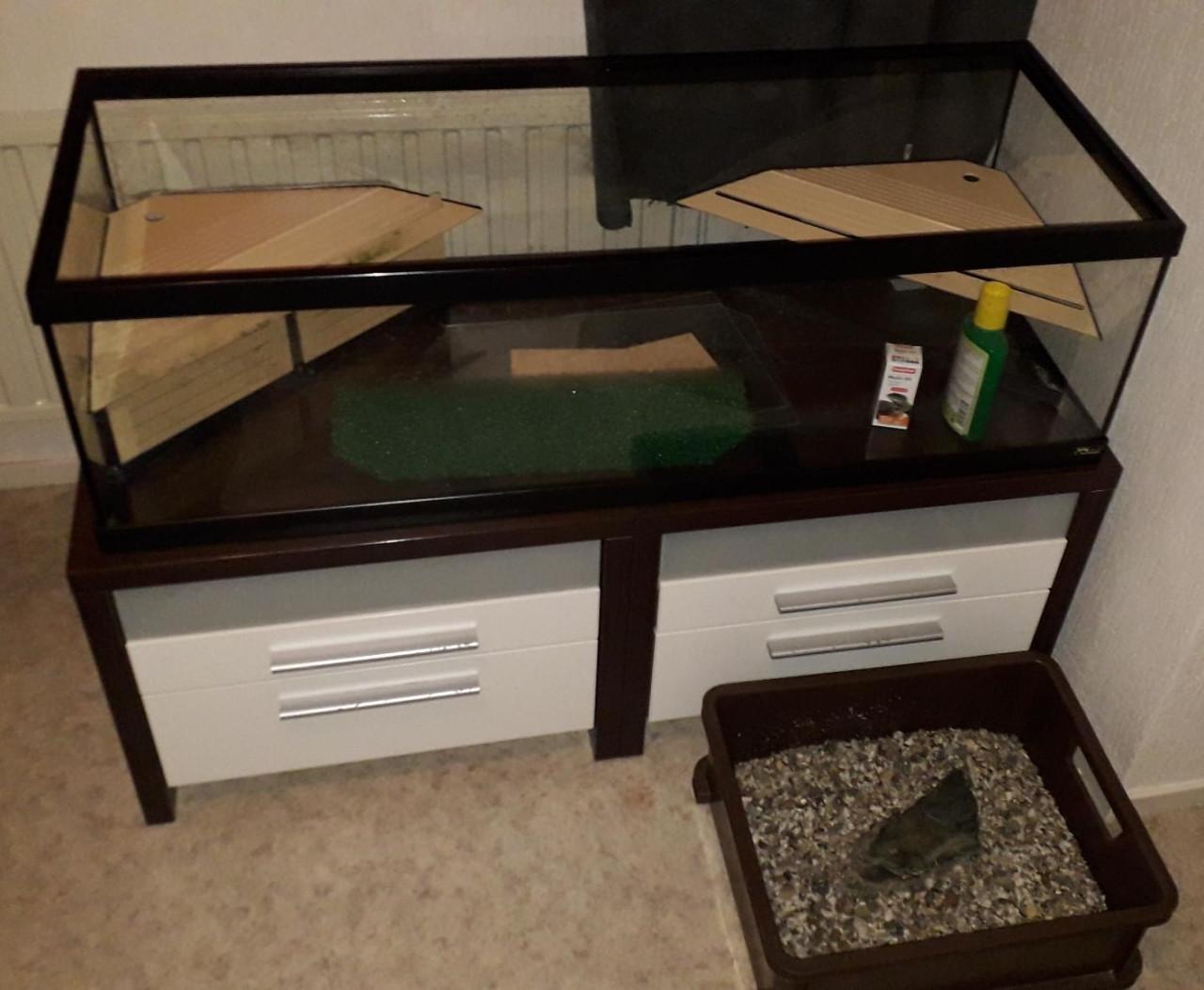 Schildpad of vissen bak