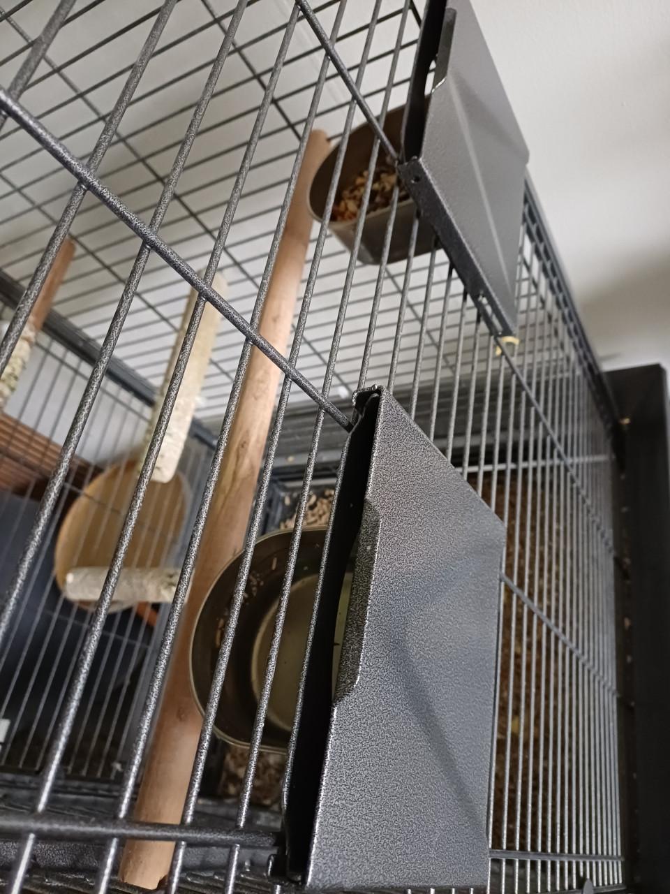 Tamme pratende grijze roodstaart papagaai met kooi.