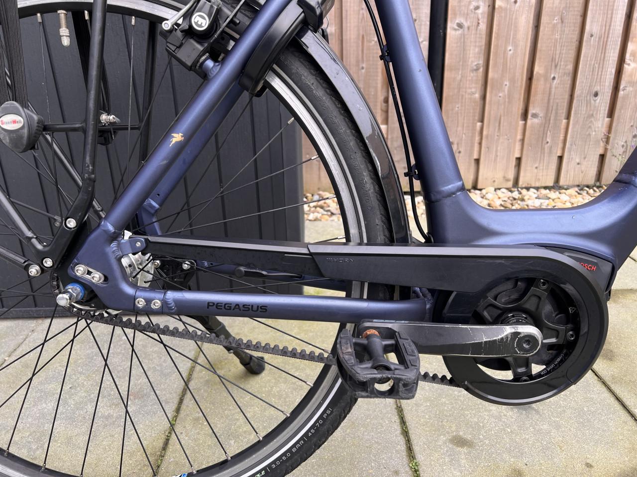 Pegasus Siena E7F Plus Belt