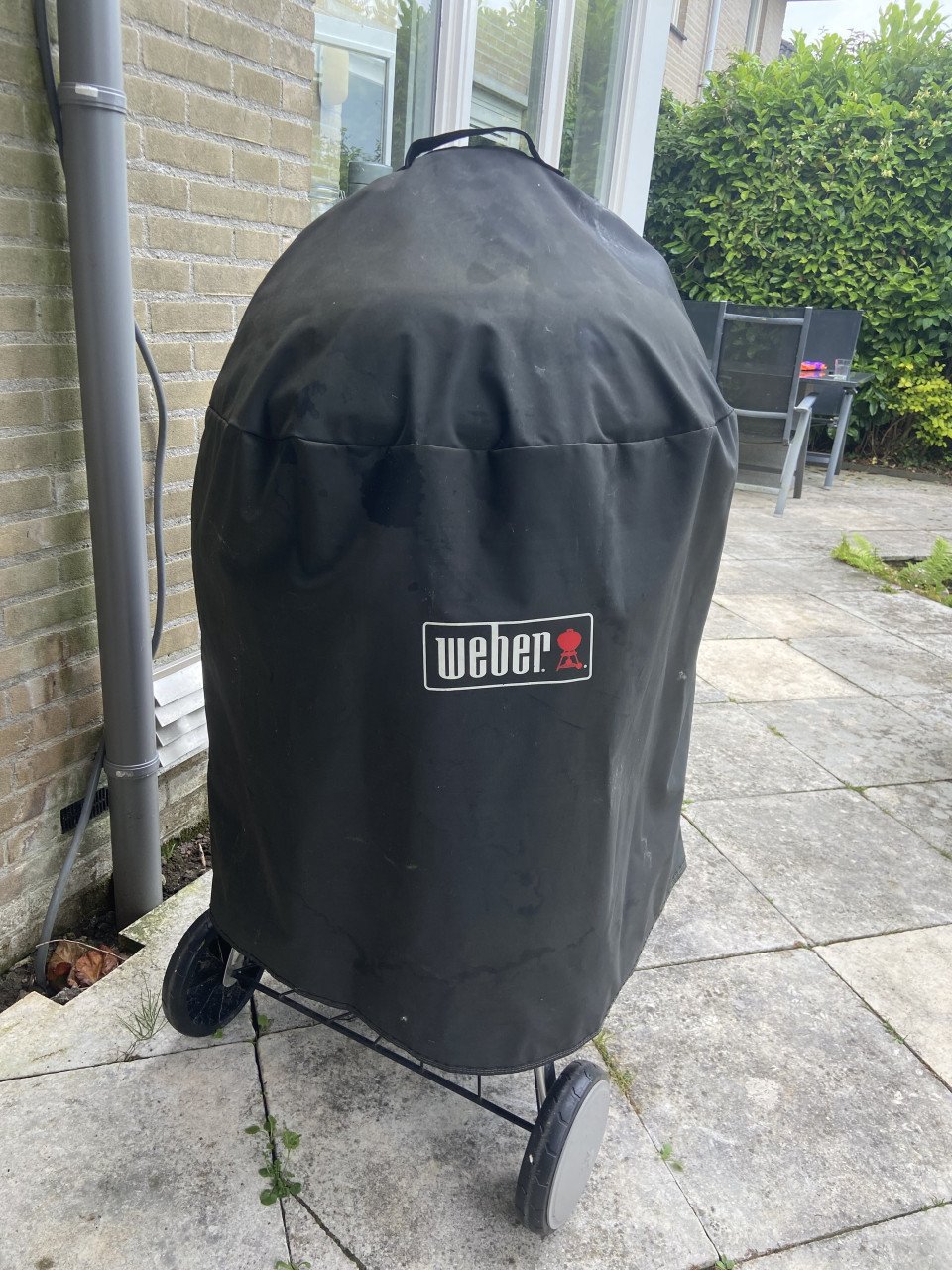 Weber BBQ