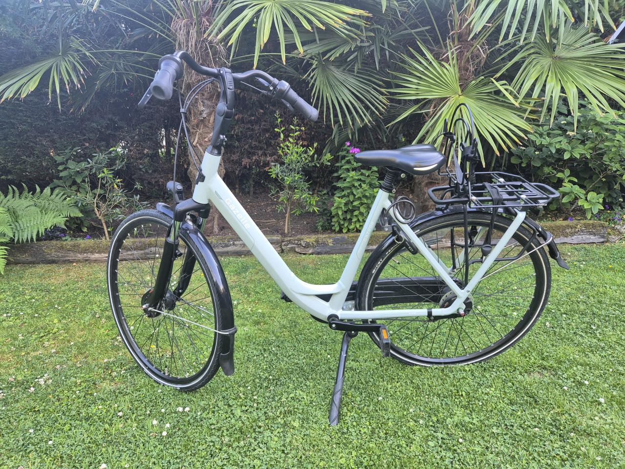 Gazelle orange c7+