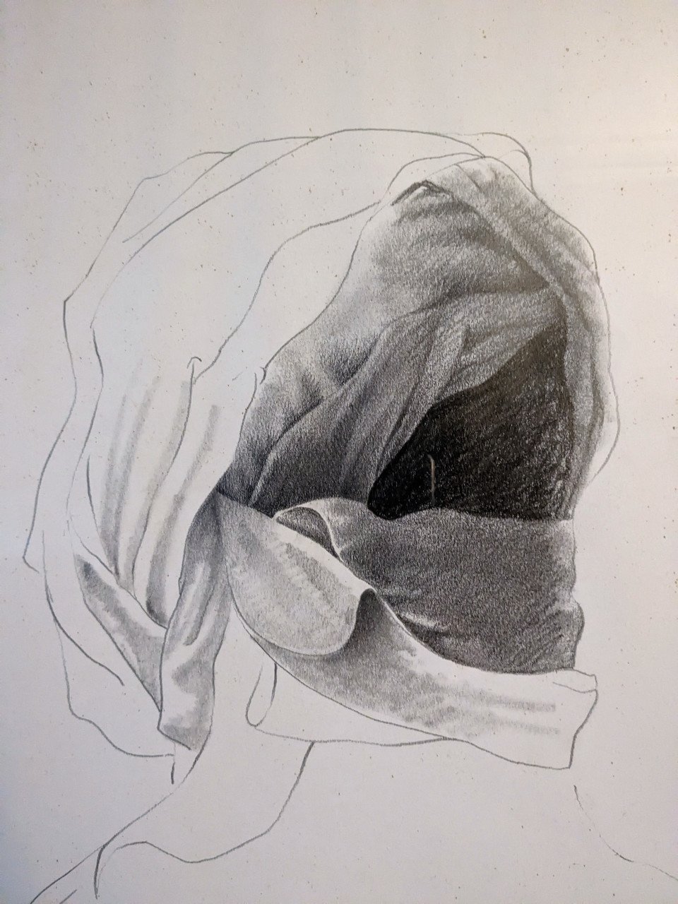 Kunstwerken van de Vlissingse kunstenaar Jan Haas