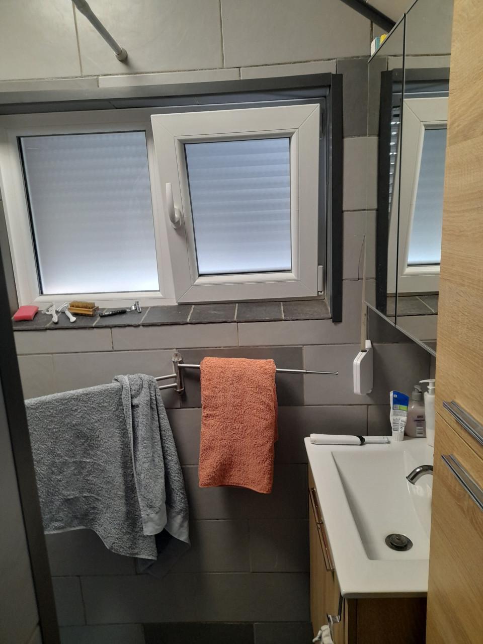 Klusser gezocht voor badkamer.