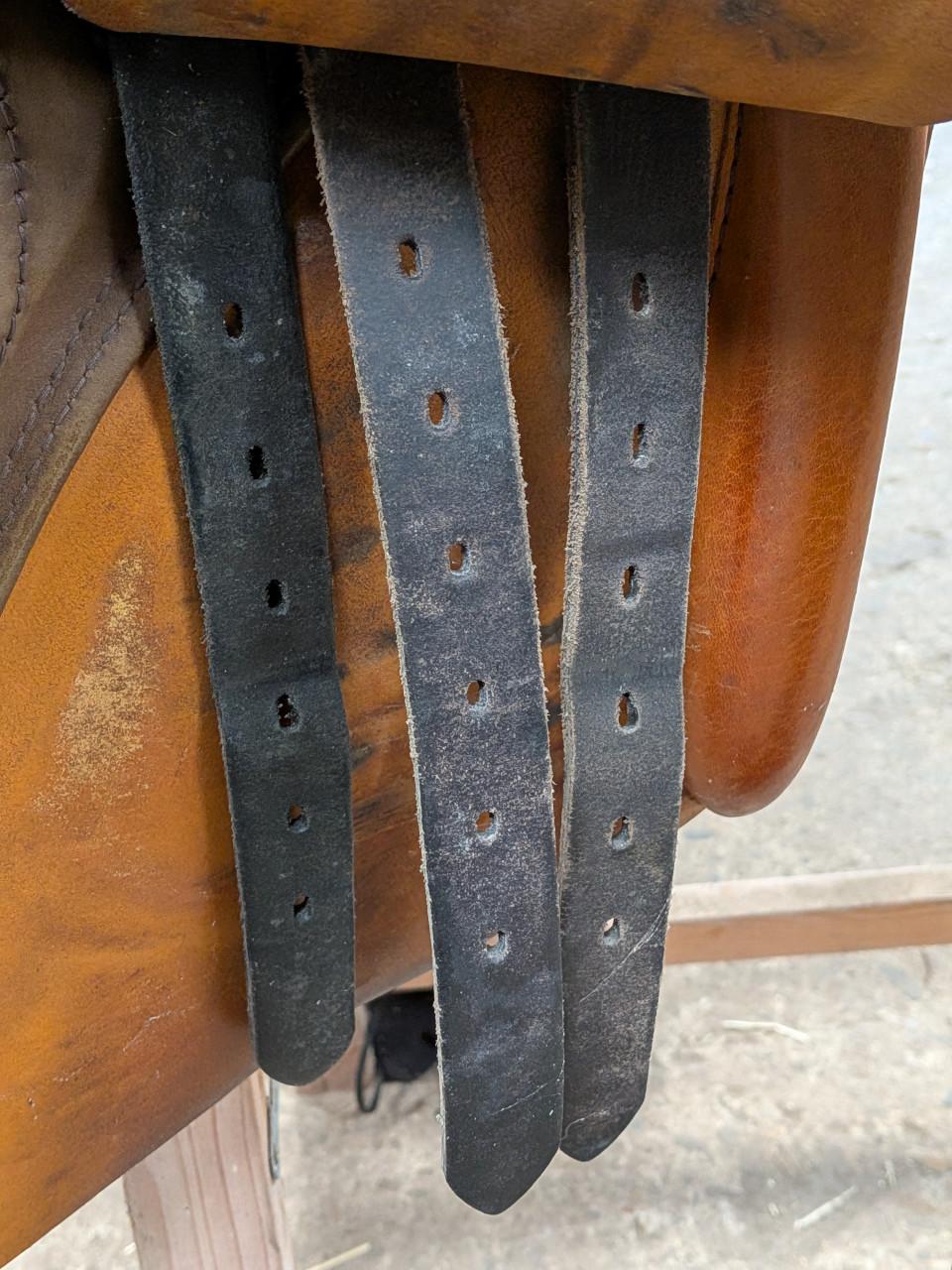 Springzadel Stübben Siegfried