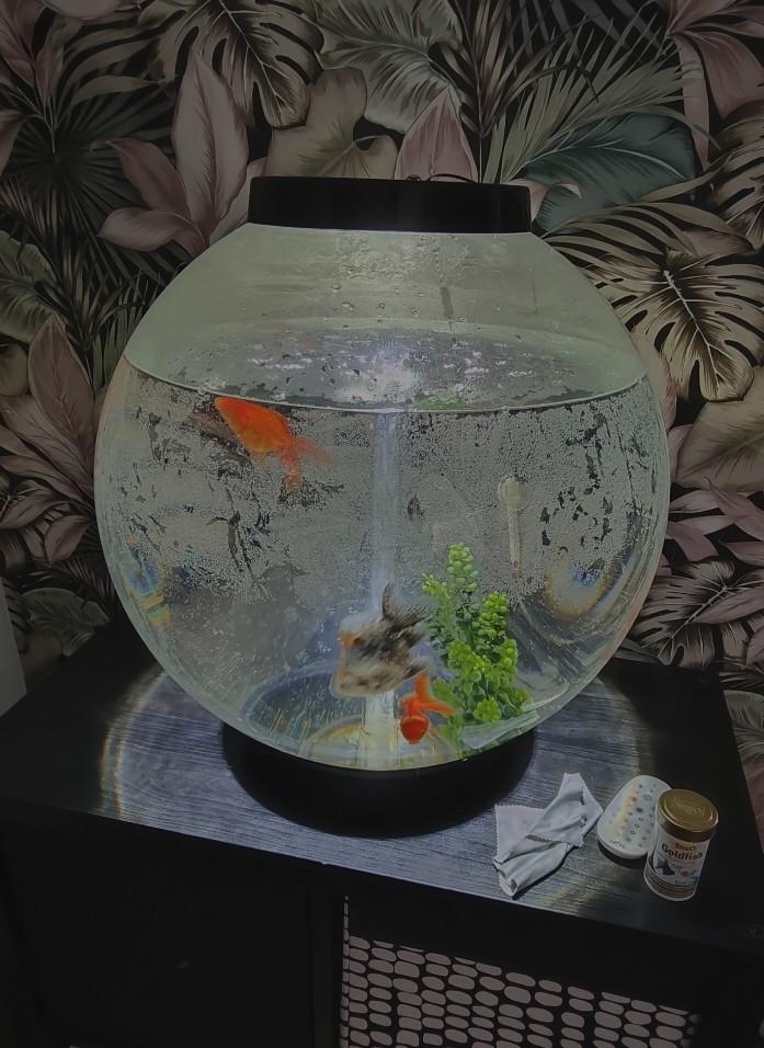 Biorb 60 liter MCR kleur