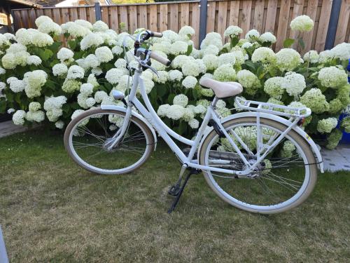 Batavus Diva fiets