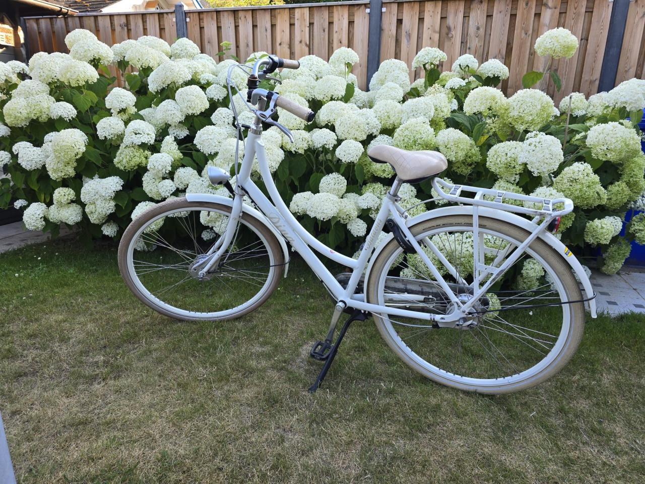 Batavus Diva fiets