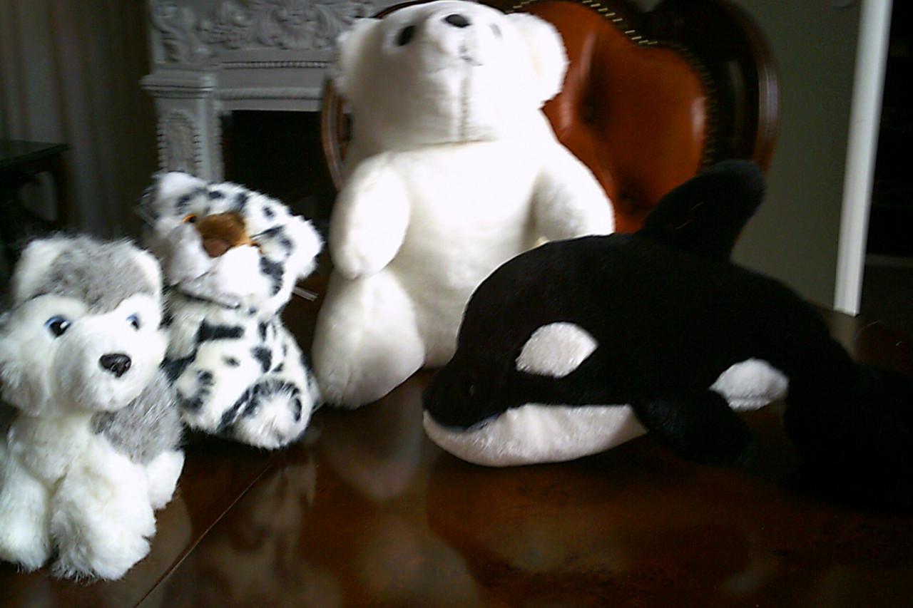 Vier NIEUWE stoere knuffels ...