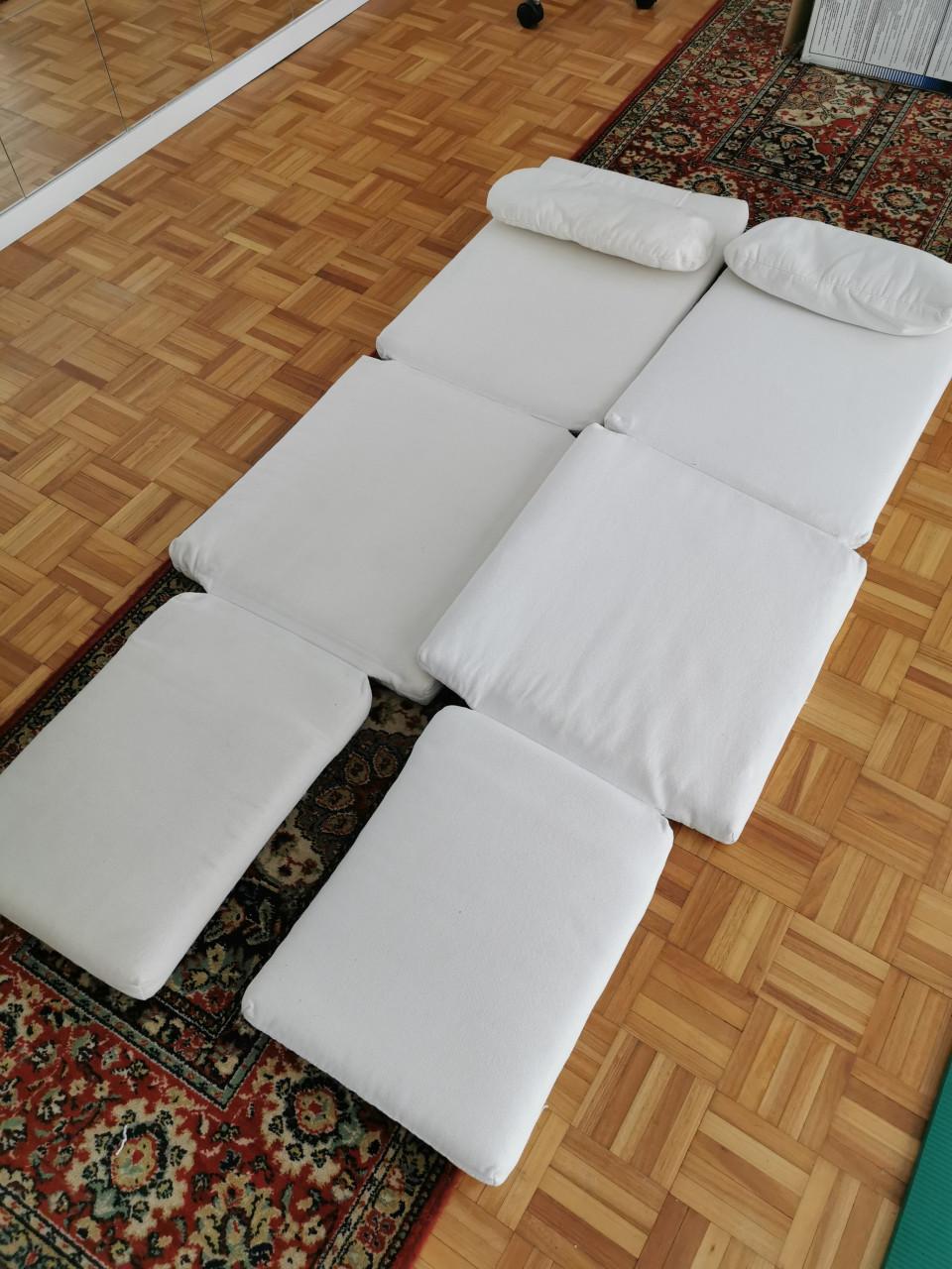 Kussens voor ligstoelen 2 x