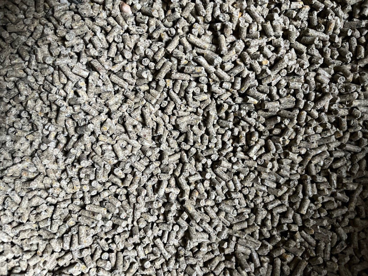 Kippenvoer 20kg